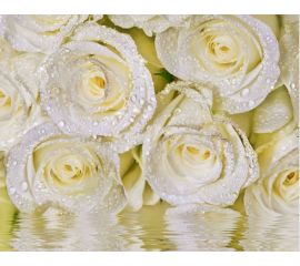 Фотообои Delice-decor