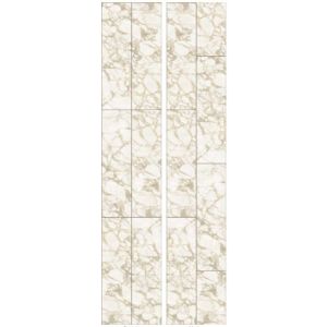 Панель 0,25*2,7*8мм 9818 Ivory Marble *12