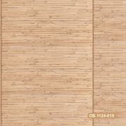 1124-019 Тайланд фон дпл *16